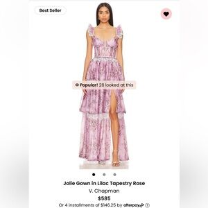 Beautiful V. Chapman gown